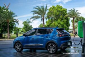 241085632 376714937412789 5274270225606152954 n result