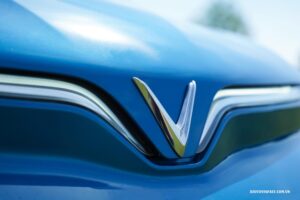 255205244 769184031148533 6603715314012473987 n result