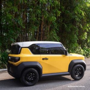 430663297 1073537520588967 6351964431446715288 n result