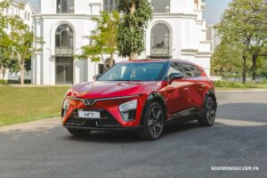 432729556 844710477668724 6560071684664146948 n result 1